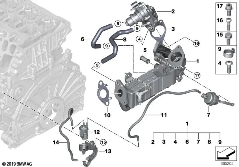 Manguera de refrigerante de avance AGR para BMW Serie 2 F45, F46, X1 F48, X2 F39, MINI F54, F55, F56, F57, F60 (OEM 11718519875). Original BMW