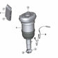 Pneumatischer Stoßdämpfer hinten rechts für BMW X5 G05 (OEM 37106869048). Original BMW.