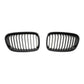 Parrilla Bmw F20 / F21 2012 - 2014 Ii Frontal