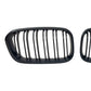 BMW F20 / F21 LCI 2015-2019 II Grill