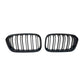 BMW F20 / F21 LCI 2015-2019 II Grill