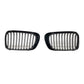 BMW E46 grills