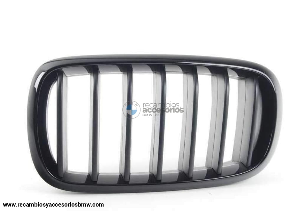 Riñonera Negro Brillante M Performance Para Bmw F15 F16. Original Recambios