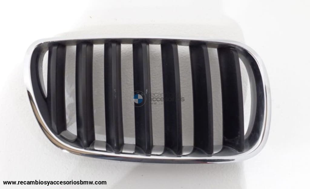 Riñoneras Originales Para Bmw X3 E83 Lci. Recambios