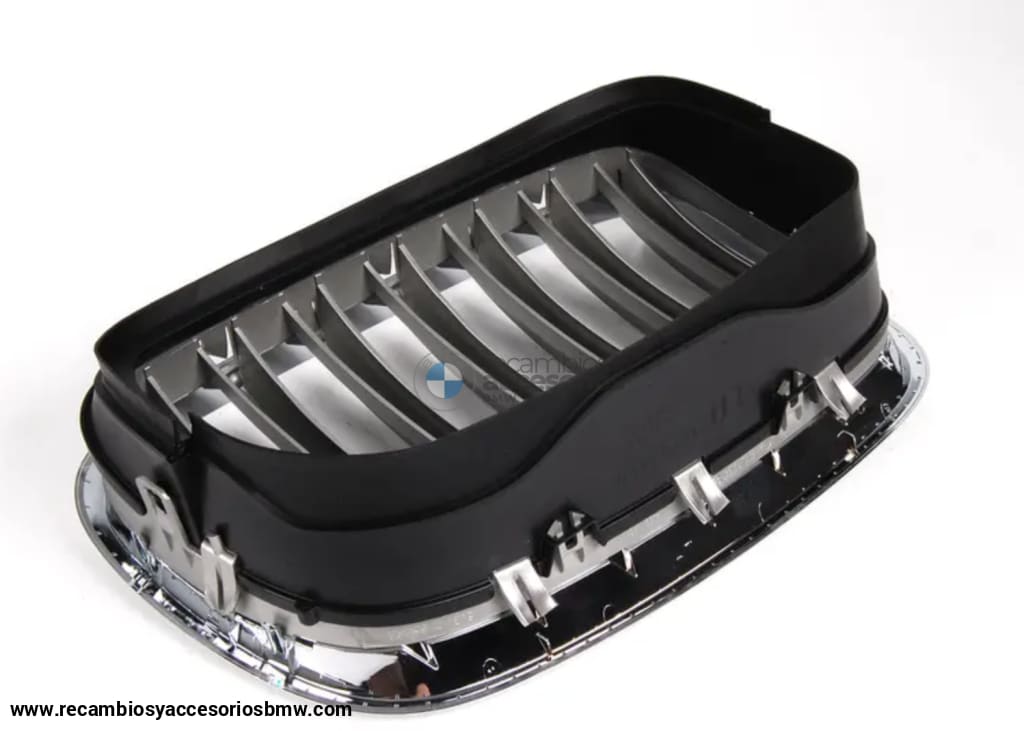 Riñoneras / Parilla Delantera Titan2 Para Bmw Serie X5 E70 Lci Y X6 E71. Original Recambios